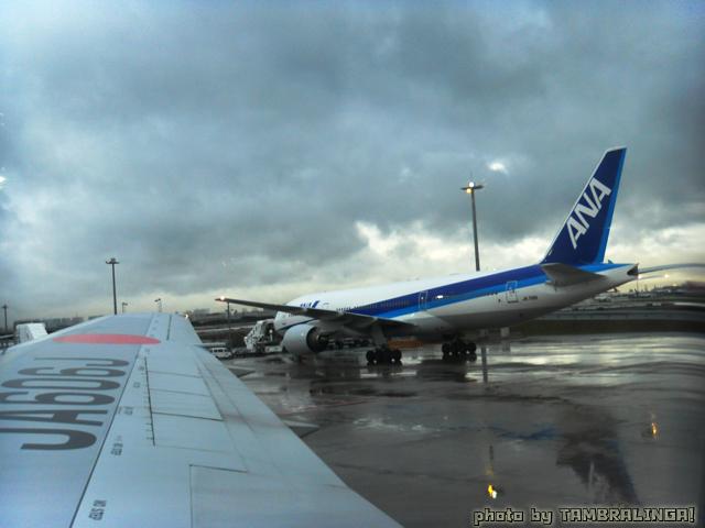 SDC11194.jpg